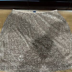 Silver Sequin Skirt